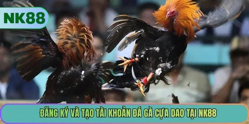 Đăng ký và tạo tài khoản đá gà cựa dao tại NK88