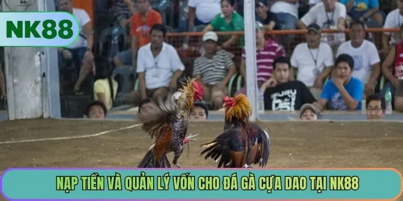 Nạp tiền và quản lý vốn cho đá gà cựa dao tại NK88
