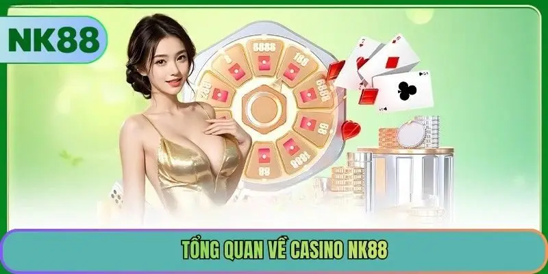 Tổng quan về Casino NK88